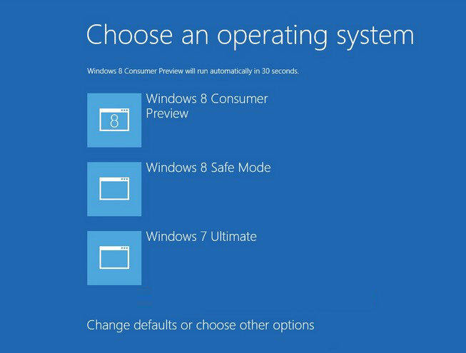 choose operating system at startup