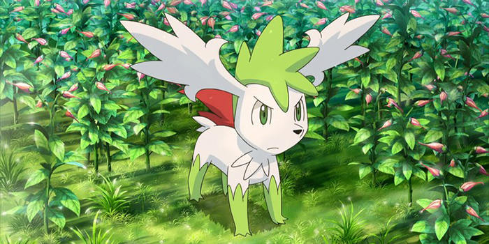 shaymin