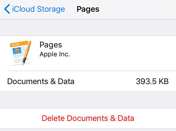 delete app document and data