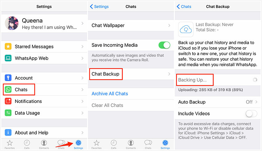 1. Извлечение сообщений WhatsApp из iPhone с помощью FoneLab