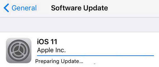 [3 SOLUTIONS] Fix iOS 16OTA Stuck on Preparing Update