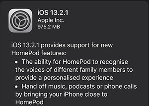 homepod fix ios 13.2.1