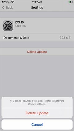 instal the last version for iphoneSecure Delete Professional 2023.14