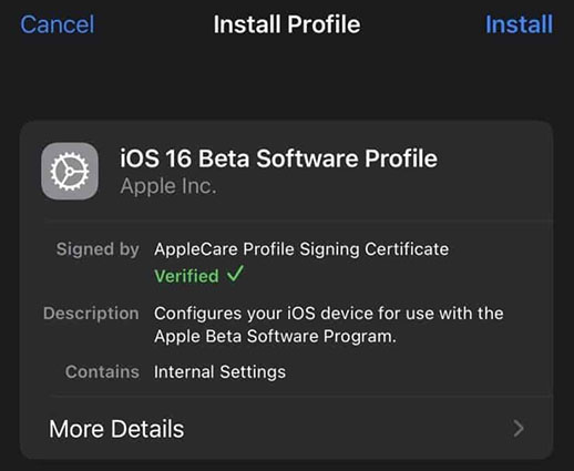 ios 16 beta software profile
