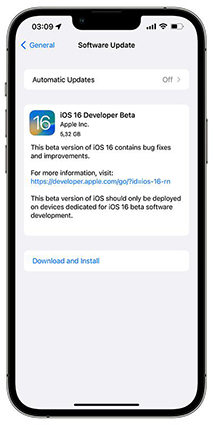 install ios 16 developer