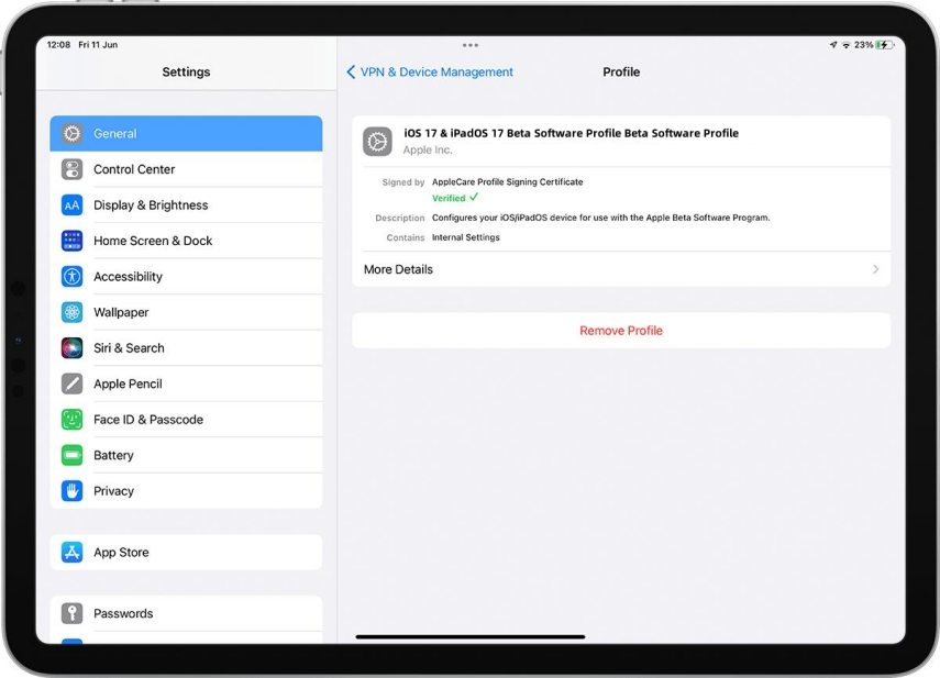 How To Remove Items From Ipad Home Screen At Stella Victoria Blog