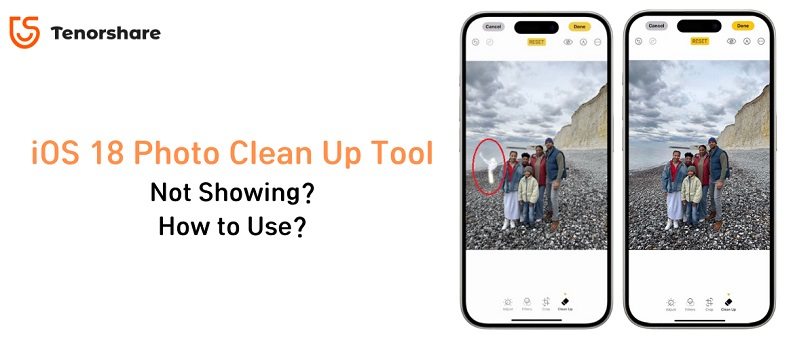 ios 18 photo clean up tool not showing