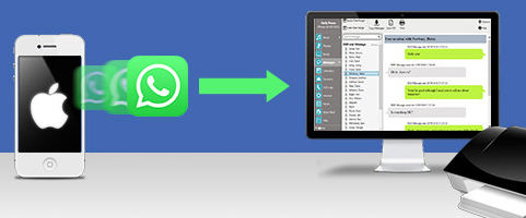 whatsapp backup