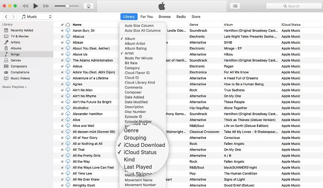 Icloud music library как включить ios 14