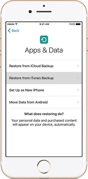 make a backup via itunes