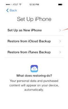 Ripristina da Backup iTunes 