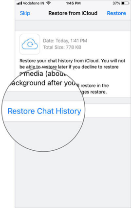 restore skipped whatsapp chats with icloud backup - 2