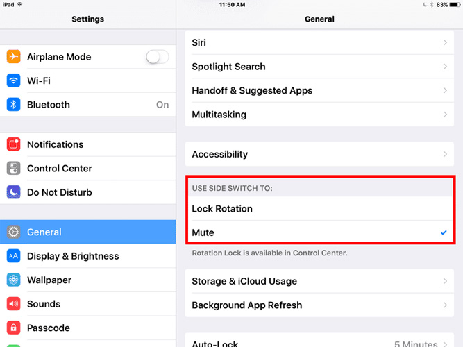 ipad rotation settings