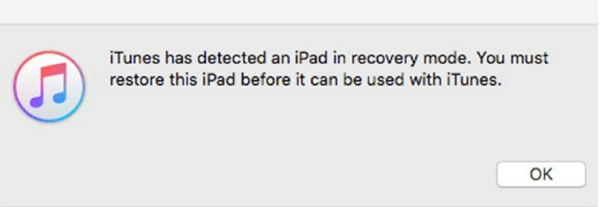 ipad in recovery mode