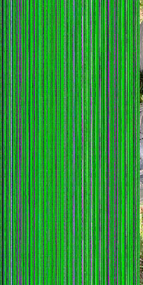 iphone green line