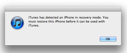enter the recovery mode