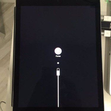 ipad pro gets bricked