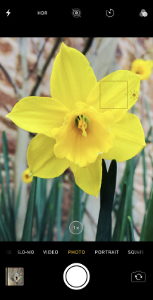 set a focus point to fix iphone camera not focusing