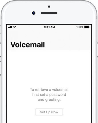 visual voicemail enhanced caller