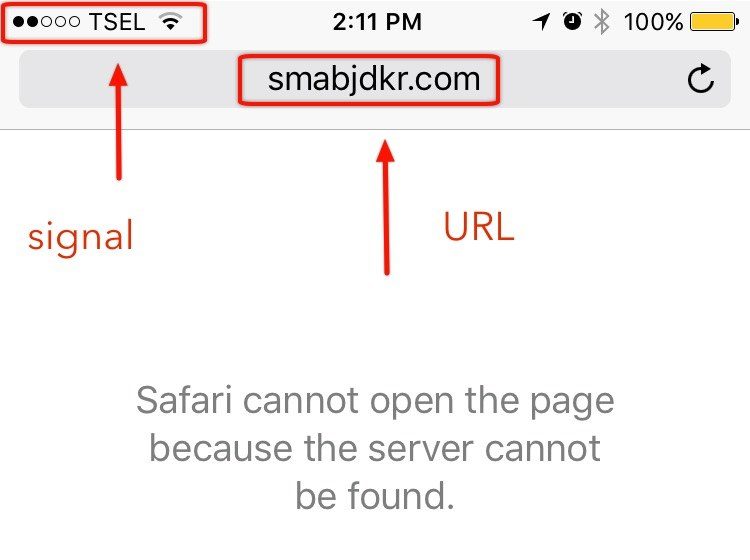 safari iphone server not responding