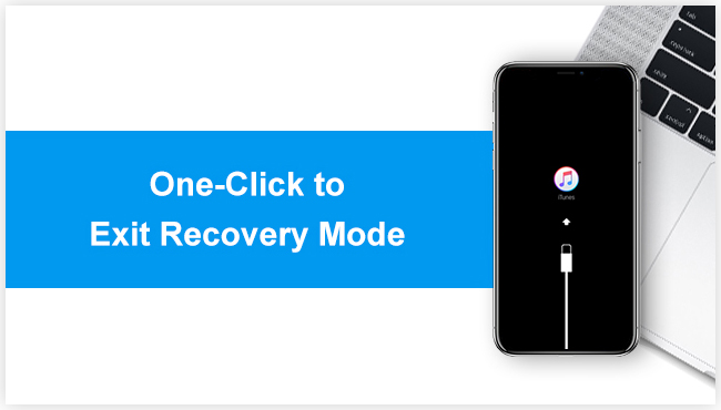 tenorshare iphone data recovery