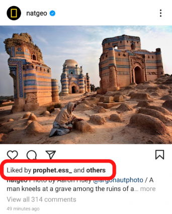 how to see hidden likes on instagram