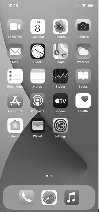 iphone black and white screen