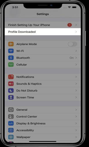 profile downloaded settings on iphone
