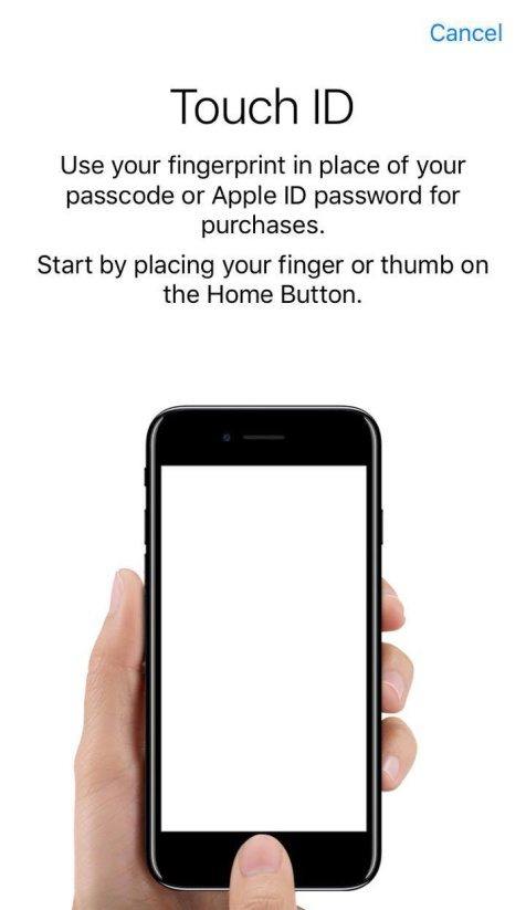 set touch id