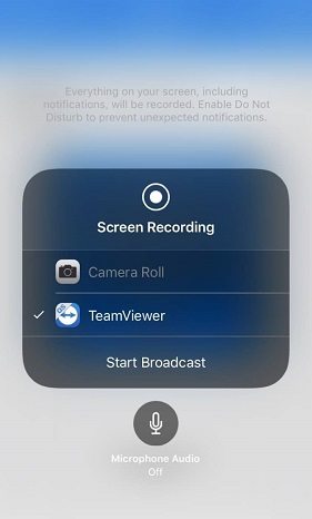 teamviewer iphone mirrors but no remote control