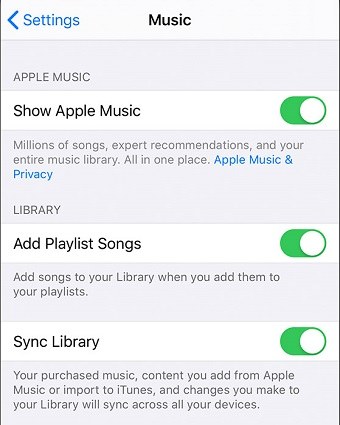 itunes music sync option
