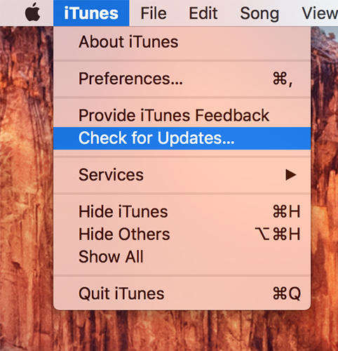 itunes check for updates