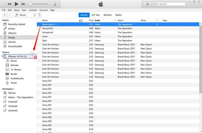 How to Transfer Music from iTunes to iPhone [EASY]