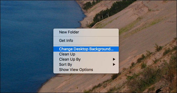 click on the option