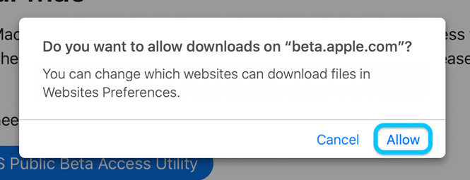 Beta Beta