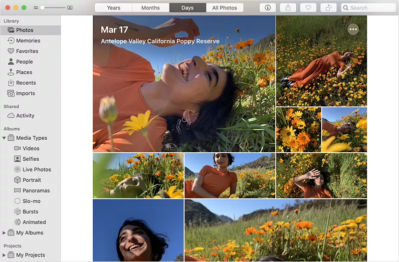 macos catalina 사진