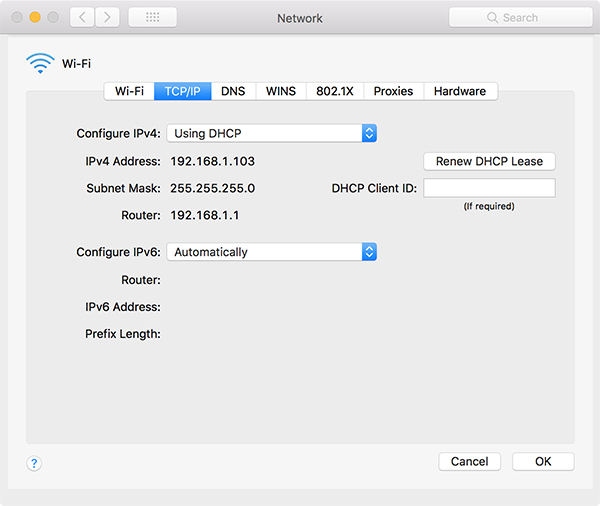 renew dhcp lease