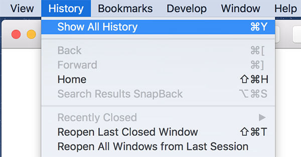 delete safari history in mac