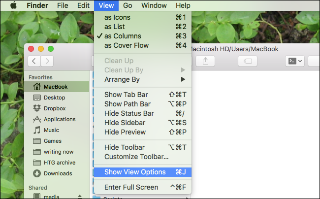 show view options mac