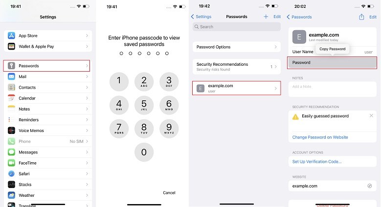 Passwords on iPhone