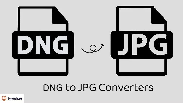 dng tp jpg converters