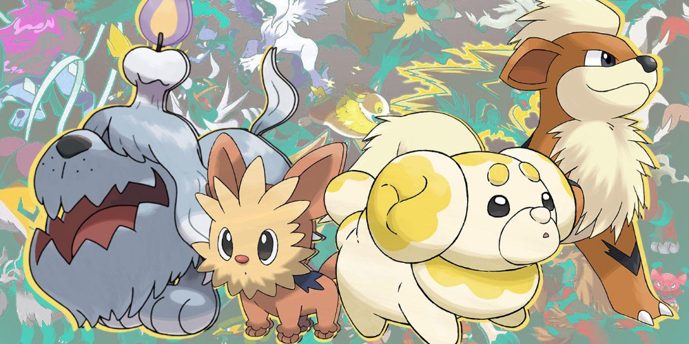 dogpokemonasdasda-asdasd-1
