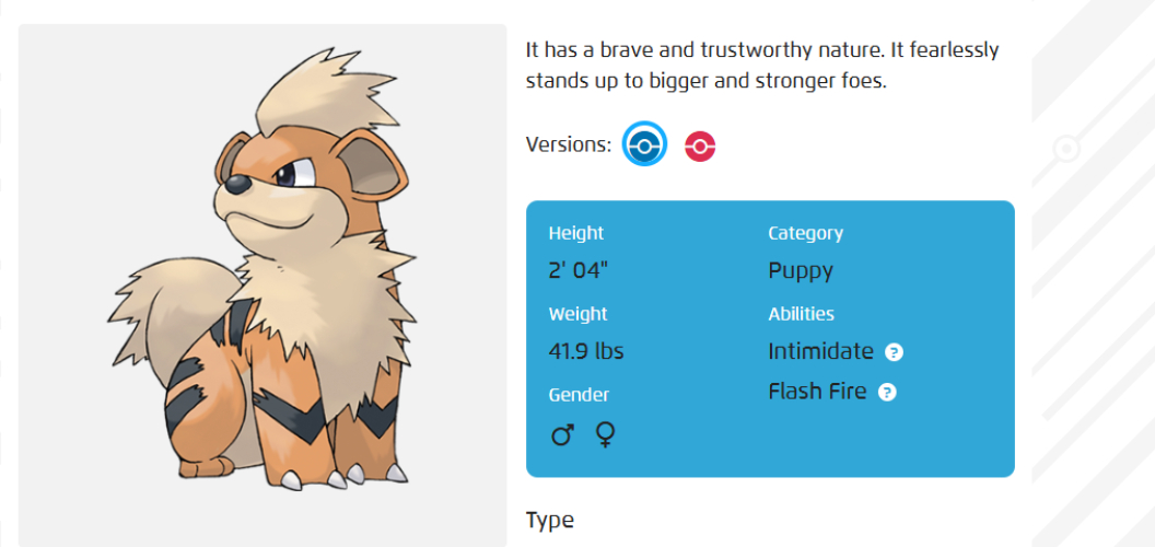 dogpokemonasdasda-asdasd-11
