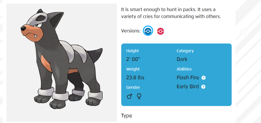 dogpokemonasdasda-asdasd-13