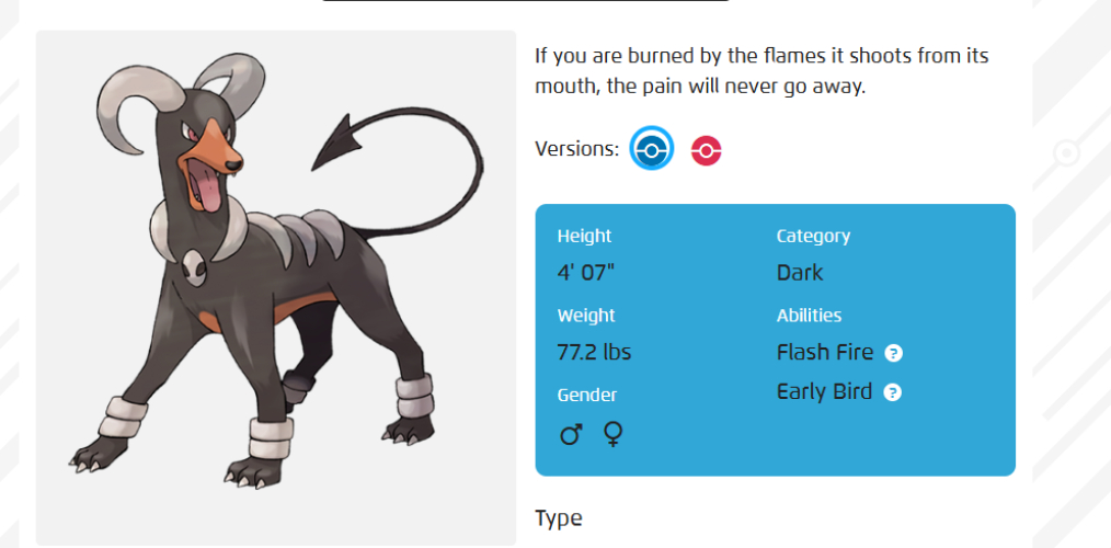 dogpokemonasdasda-asdasd-14