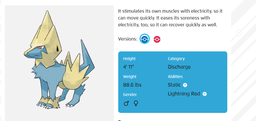 dogpokemonasdasda-asdasd-8
