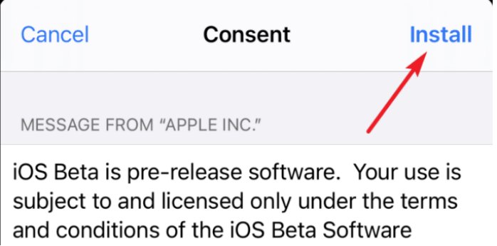 Install the Profile ios beta 18)