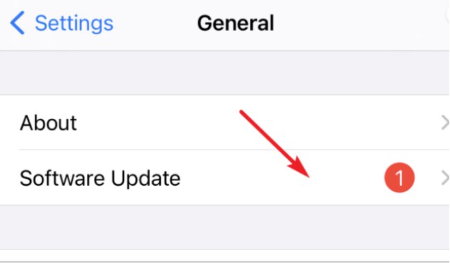 Restart and Update iphone 11)