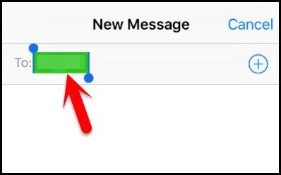 Reset a locked iPhone by Siri