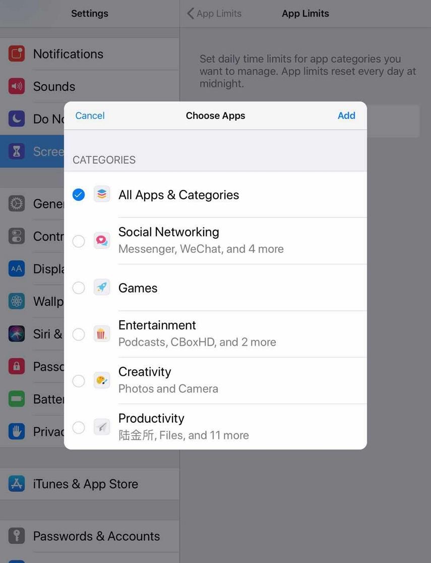 set app limit ipad